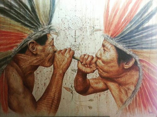 Médecine Traditionnelle Amazonienne