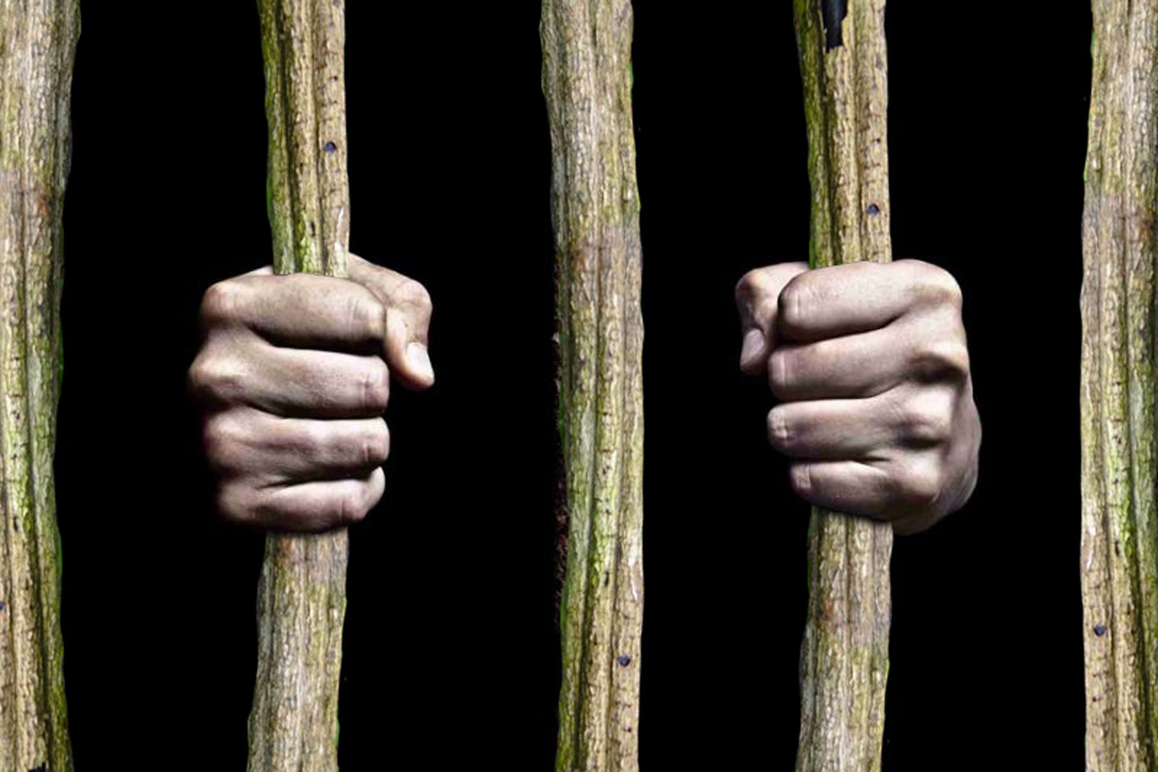 Ayahuasca now banned in the Nederlands